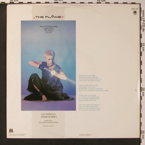 Lamb,Annabel: The Flame+2, AM (AMX 182), UK, 1984 Typ: 12" Best.-Nr.: B1916 Preis: 1,00 Euro