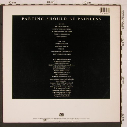 Daltrey,Roger: Parting Should Be Painless, Atlantic(7 80128-1), US, 1984 - LP - E3021 - 2,00 Euro