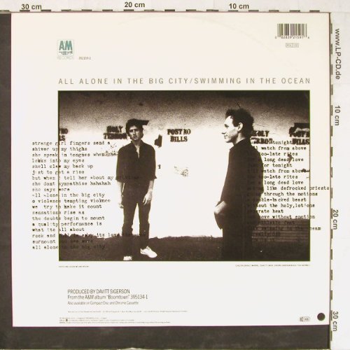 David & David: Swallowed By The Cracks+2, AM (392 159-1), D, 1986 Typ: 12" Best.-Nr.: E3718 Preis: 1,00 Euro