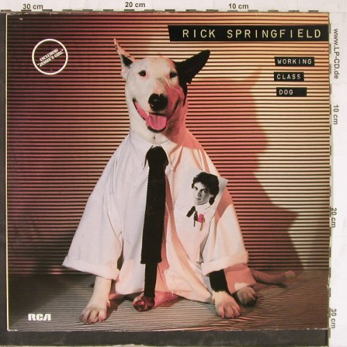 Springfield,Rick: Working Class Dog, RCA(PL 13697), D, 1981 - LP - E5340 - 5,00 Euro