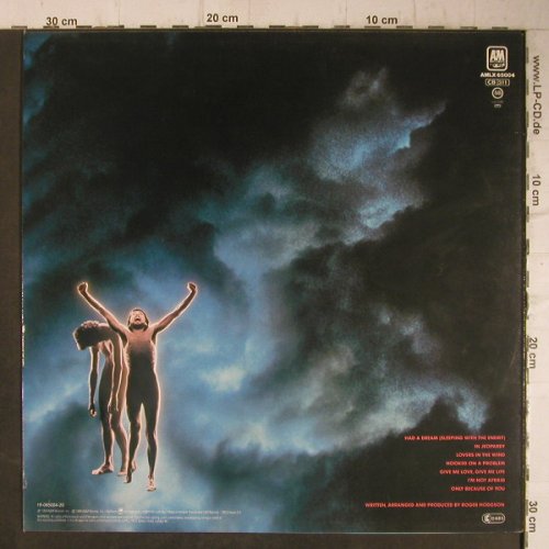 Hodgson,Roger: In The Eye Of The Storm, AM(LX 65004), NL, 1984 - LP - E6426 - 4,00 Euro