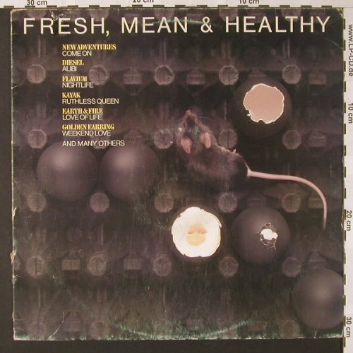 V.A.Fresh, Mean & Healthy: Golden Earring...Nick Hall, m-/vg--, Polydor(2486 130), NL, 1980 - LP - E7529 - 5,00 Euro