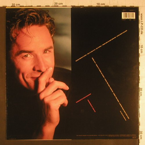 Johnson,Don: Let it Roll, Epic(460857 1), NL, 1989 - LP - F6369 - 4,00 Euro