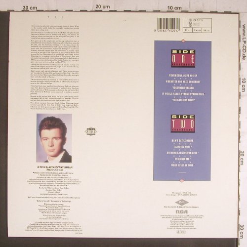 Astley,Rick: Whenever You Need Somebody, RCA(PL 71 529), D, 1987 - LP - F6396 - 5,00 Euro