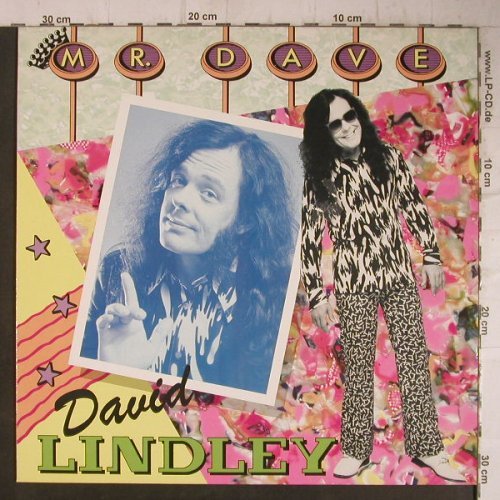 Lindley,David: Mr.Dave, WEA(252 161-1), D, 1985 - LP - F7510 - 5,00 Euro