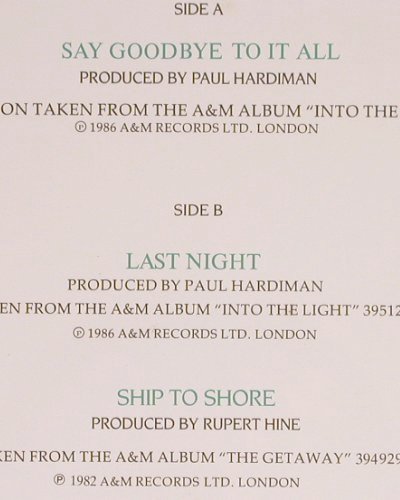 De Burgh,Chris: Say Goodbye t.it All/LastNight/Ship, AM (392 131-1), D, 1986 Typ: 12" Best.-Nr.: H2361 Preis: 2,00 Euro