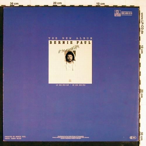 Paul,Bernie: Night After Nigt/Hot Line, Ariola (600 460-213), D, 1981 Typ: 12" Best.-Nr.: H4376 Preis: 1,00 Euro