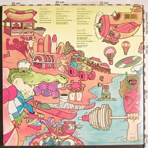 Beach Boys: Sunshine Dream,Foc, Capitol(SVBB-12220), US, 1982 - 2LP - H7400 - 7,50 Euro