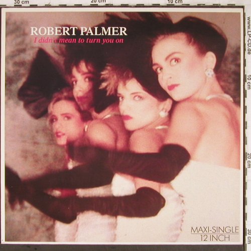 Palmer,Robert: I Didn't Mean To Turn You On+1, Island (608 328), D, 1985 Typ: 12" Best.-Nr.: H7830 Preis: 1,00 Euro