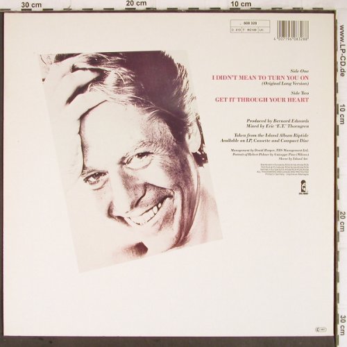 Palmer,Robert: I Didn't Mean To Turn You On+1, Island (608 328), D, 1985 Typ: 12" Best.-Nr.: H7830 Preis: 1,00 Euro