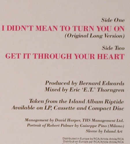 Palmer,Robert: I Didn't Mean To Turn You On+1, Island (608 328), D, 1985 Typ: 12" Best.-Nr.: H7830 Preis: 1,00 Euro