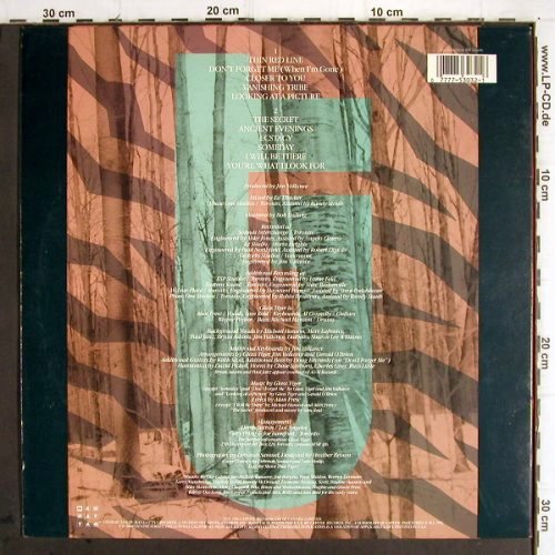 Glass Tiger: The Thin Red Line, Manhattan(24 0570 1), NL, 1986 - LP - H9759 - 3,00 Euro