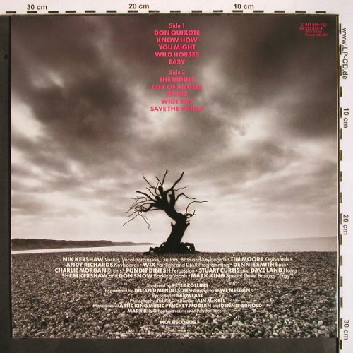 Kershaw,Nik: The Riddle, MCA(251 595-1), D, 1984 - LP - V1679 - 5,00 Euro