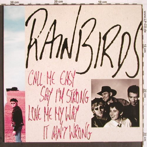 Rainbirds: Call Me Easy Say I'm Strong Love Me, Mercury (838 176-1), D, Foc, 1989 Typ: LP Best.-Nr.: V240 Preis: 5,00 Euro