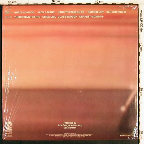 Cougar,John: American Fool, RIVA(RVL 7501), US, 1982 - LP - V317 - 6,00 Euro