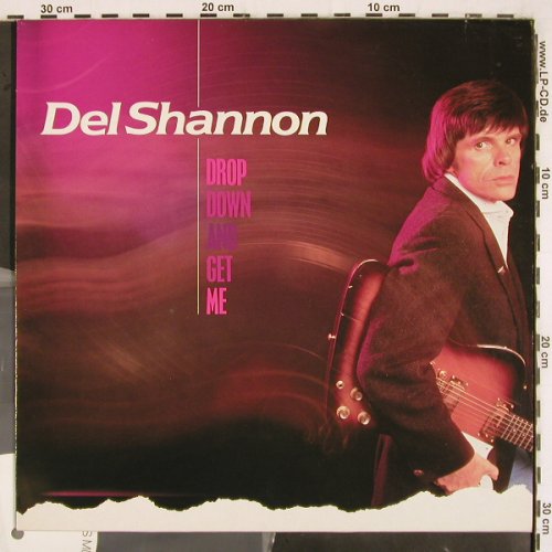 Shannon,Del: Drop Down And Get Me,Musterplatte, RCA Instant (ZL 28538), D, 1983 Typ: LP Best.-Nr.: V3240 Preis: 9,00 Euro