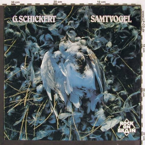 Schickert,Günter: Samtvogel (1975)  plays like new, Brain (0040.176), D, 1979 Typ: LP Best.-Nr.: V3743 Preis: 40,00 Euro