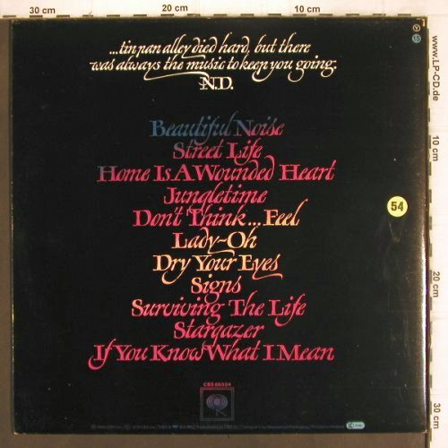 Diamond,Neil: Beautiful Noise, Foc, CBS(CBS 86004), NL, 1976 - LP - V919 - 6,00 Euro