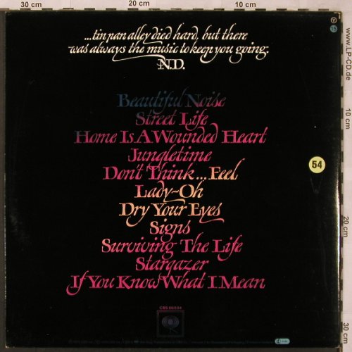 Diamond,Neil: Beautiful Noise,Foc, CBS(CBS 86004), NL, 1976 - LP - X2465 - 5,00 Euro