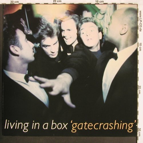 Living In A Box: Gatecrashing, Chrysalis(209 835), D, 1989 - LP - X3536 - 6,00 Euro