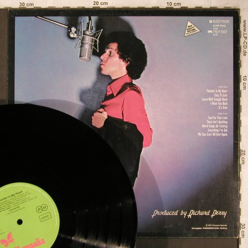 Sayer,Leo: Thunder In My Heart, Chrysalis (6307 606), D, 1977 Typ: LP Best.-Nr.: X4634 Preis: 6,00 Euro