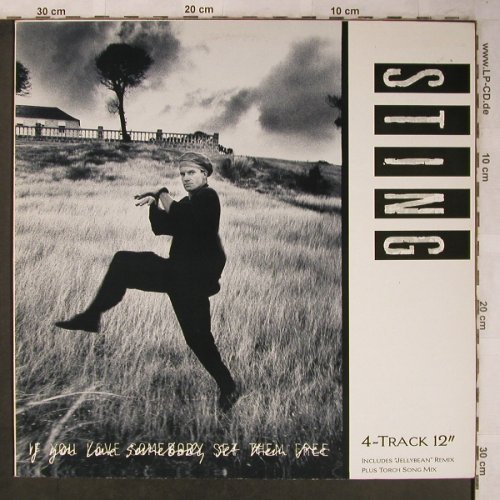 Sting: If You Love Sombody Set...*3+1, AM(392 018-1), NL, 1985 - 12inch - X5278 - 7,50 Euro