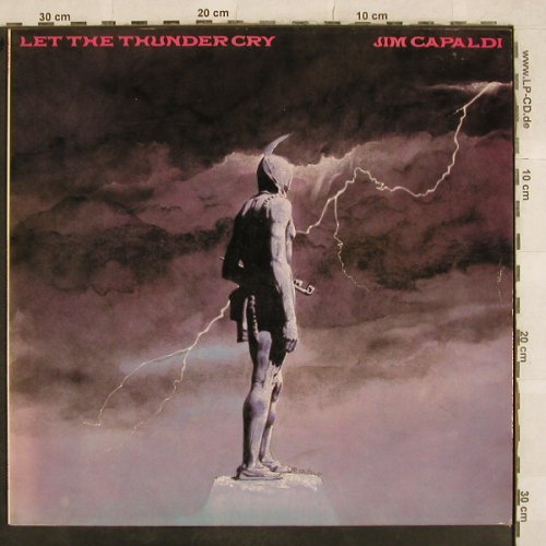 Capaldi,Jim: Let The Thunder Cry, EMI(064-64 342), D, 1981 - LP - X562 - 4,00 Euro