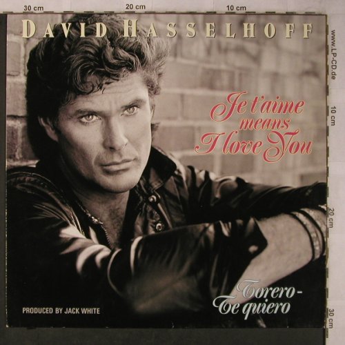 Hasselhoff,David: Je T'aime means I love you*2+1, White Records(613 234), D, 1990 - 12inch - X5678 - 12,50 Euro