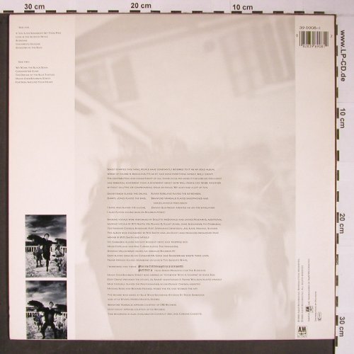 Sting: The Dream Of The Blue Turtle,Lim.Ed, AM (39 6908-1), UK, 1985 Typ: PLP Best.-Nr.: X6051 Preis: 17,50 Euro
