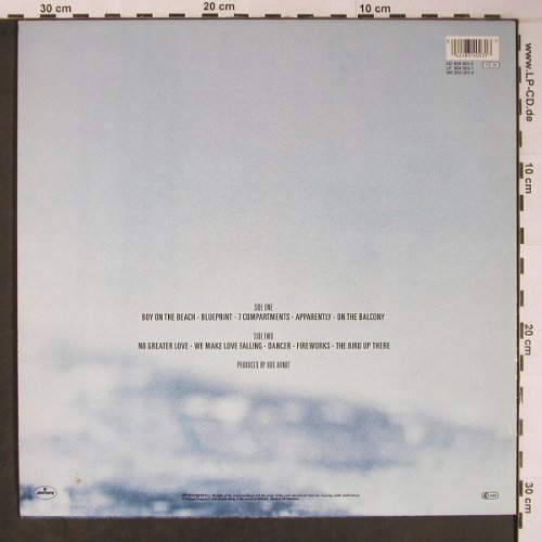 Rainbirds: Same, Mercury (834 023-1), D, 1987 Typ: LP Best.-Nr.: X6107 Preis: 5,00 Euro