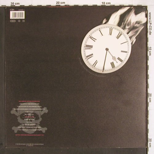 D'Arby,Terence Trent: Neither Fish Or Flesh, CBS(4658019 1), NL, 1989 - LP - X661 - 3,00 Euro
