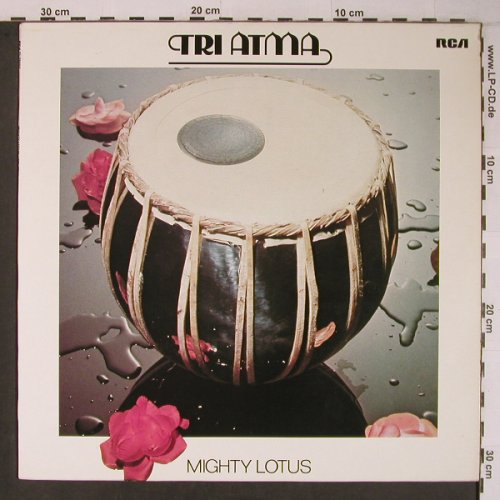 Tri Atma: Mighty Lotus, RCA Victor(PL 28402), D,like new, 1980 - LP - X6640 - 30,00 Euro
