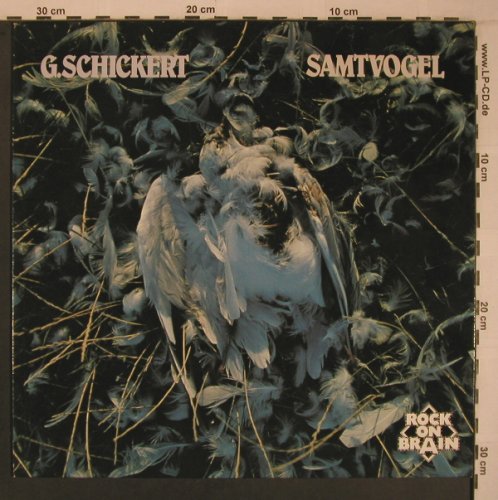 Schickert,Günter: Samtvogel (1975), Brain(0040.176), D, Ri, 1979 - LP - X6920 - 80,00 Euro