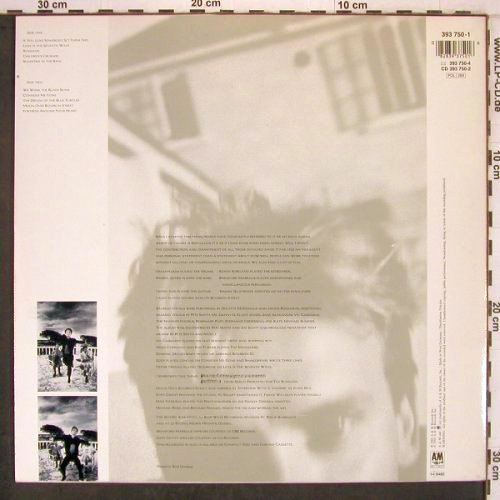Sting: The Dream Of The Blue Turtles, AM (393 750-1), D, 1985 Typ: LP Best.-Nr.: X7676 Preis: 7,50 Euro