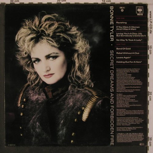 Tyler,Bonnie: Secret Dreams And Forbidden Fire, CBS(86319), NL, 1986 - LP - X7854 - 5,00 Euro