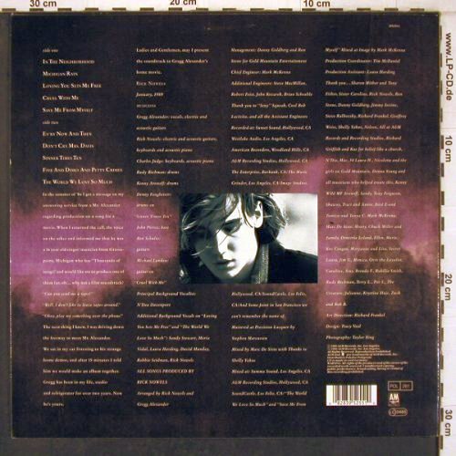 Alexander,Greg: Michigan Rain, A&M (395 255-1), D, 1989 Typ: LP Best.-Nr.: X7862 Preis: 9,00 Euro