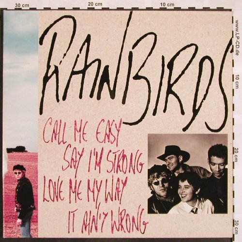 Rainbirds: Call Me Easy Say I'm Strong Love Me, Mercury(838 176-1), D, Foc, 1989 - LP - X792 - 4,00 Euro