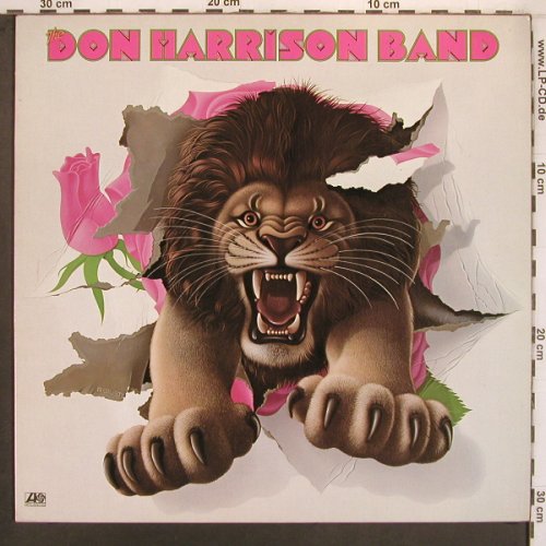 Harrison Band,Don: Same, Atlantic(ATL 50 263), D, 1976 - LP - X8170 - 8,00 Euro