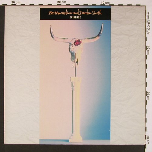 Hewerdine,Bo & Darden Smith: Evidence, Ensign(210 149), D, 1989 - LP - X8523 - 5,00 Euro