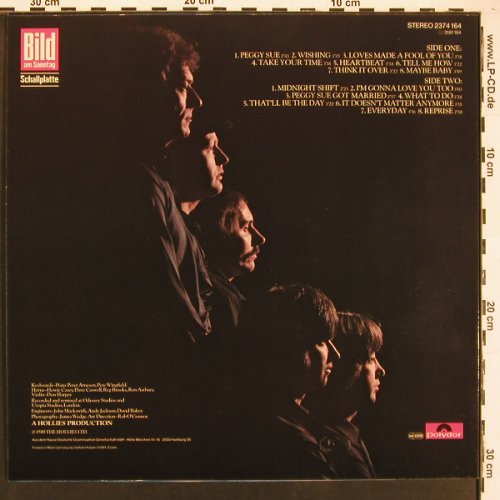 Hollies: Buddy Holly, Polydor BILD Ed.(2374 164), D, 1980 - LP - X9397 - 6,00 Euro