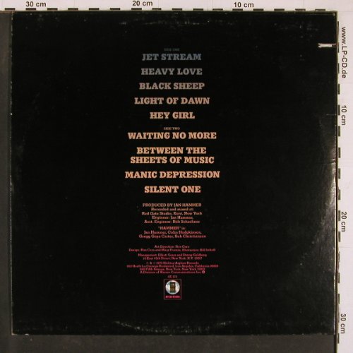 Hammer,Jan: Black Sheep, m /vg+, Asylum(6E-173), US, co, 1979 - LP - Y1263 - 7,50 Euro