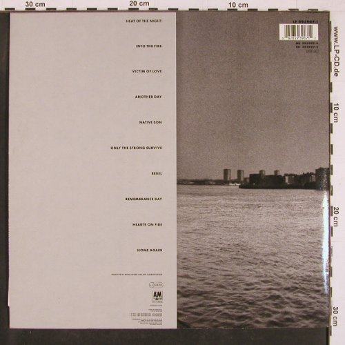 Adams,Bryan: Into The Fire,Facts, Poster, 2xFoto, AM (393907-1), D, 1987 Typ: LP Best.-Nr.: Y1273 Preis: 9,00 Euro