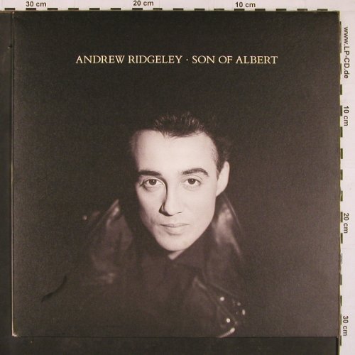 Ridgeley,Andrew: Son Of Albert, CBS (466717 1), NL, 1990 Typ: LP Best.-Nr.: Y1368 Preis: 5,00 Euro