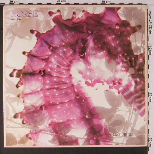Horse: Sweet Thing+3, m-/vg+, Capitol(20 3886 6), D, 1990 - 12inch - Y1473 - 3,00 Euro