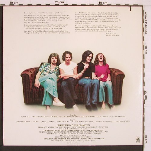 Frampton,Peter: I'm In You, AM(SP 4704), US, co, 1977 - LP - Y2044 - 6,00 Euro