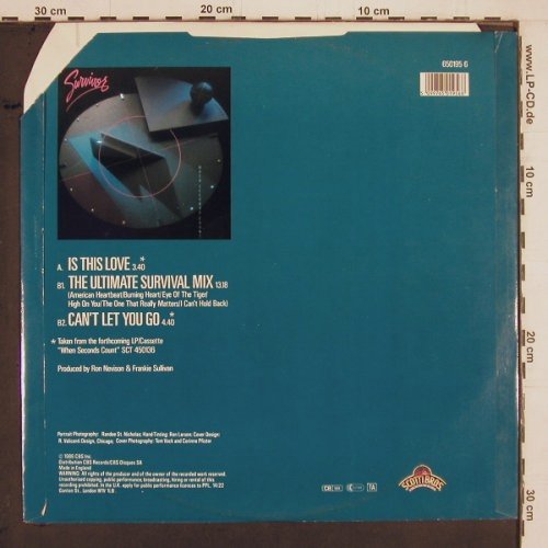 Survivor: Is This Love+2 (Survivor mix), ScottiBros(650195 6), UK, CO, 1986 - 12inch - Y2051 - 3,00 Euro
