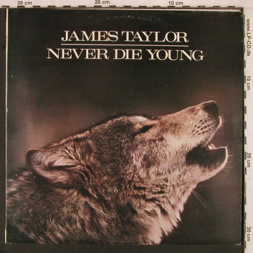Taylor,James: Never Die Young, CBS(460434 1), Yugoslavia, 1988 - LP - Y2243 - 6,00 Euro
