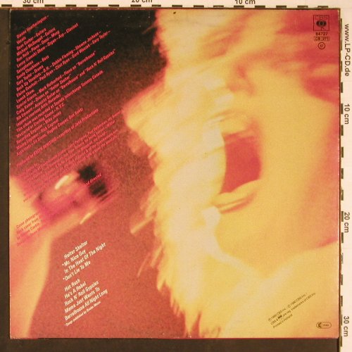 Heatherington,Dianne: Heatherington Rocks, Epic(84727), NL, 1980 - LP - Y322 - 6,00 Euro