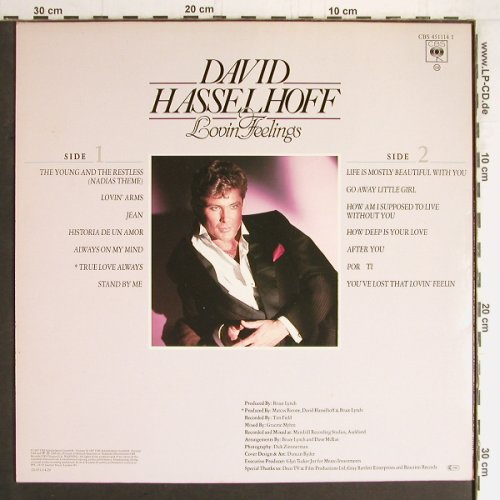 Hasselhoff,David: Lovin Feelings, CBS(451114 1), NL, 1987 - LP - Y3331 - 5,00 Euro