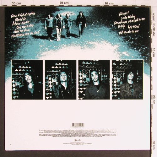 Doits: This Is Rocket Science, Wild Kingdom(KING015LP), EU, 2004 - LP - Y3909 - 12,50 Euro